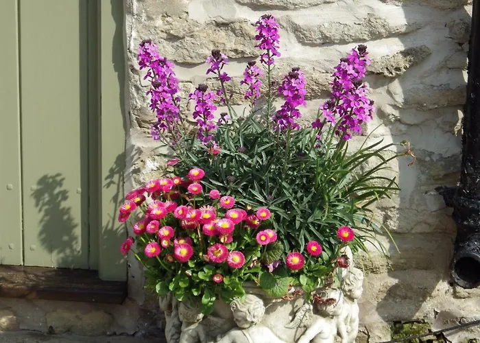 Pond Farm 住宿加早餐酒店 3*